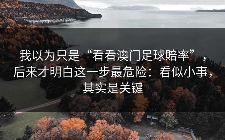 我以为只是“看看澳门足球賠率”，后来才明白这一步最危险：看似小事，其实是关键